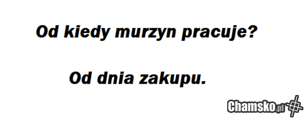 Murzynek