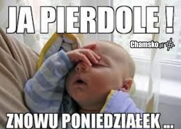 Poniedziałek