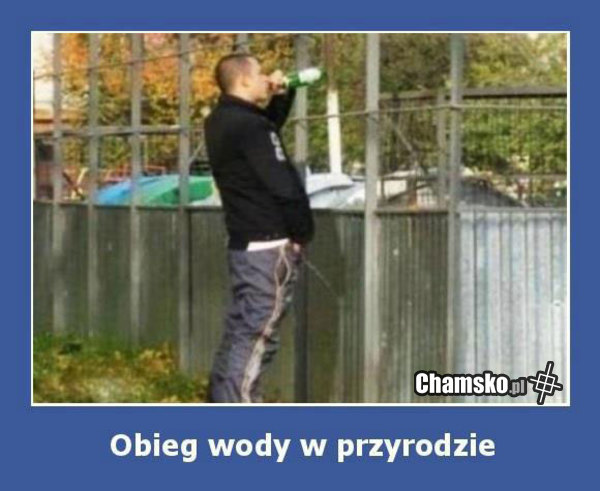 Obieg wody w przyrodzie