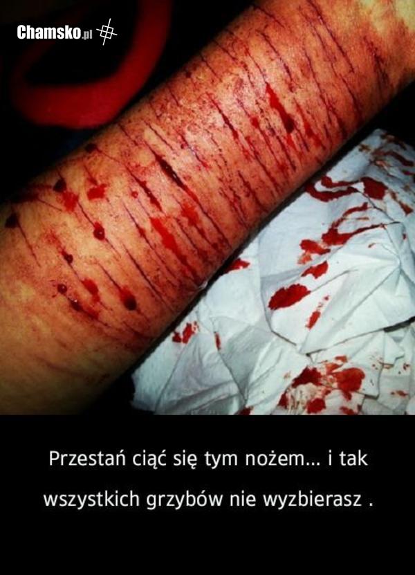 Grzyby