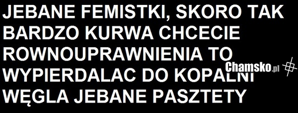 FEMINISTKI