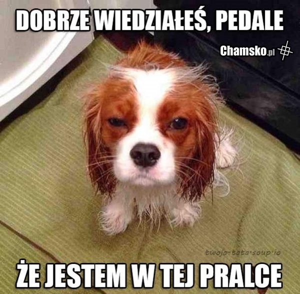 Wiedziałeś