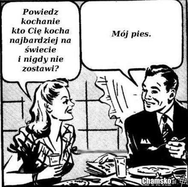Pies