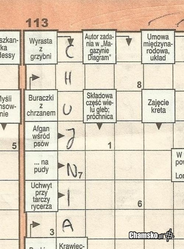 Z grzybni
