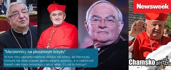 Jebane dzieciojebacze