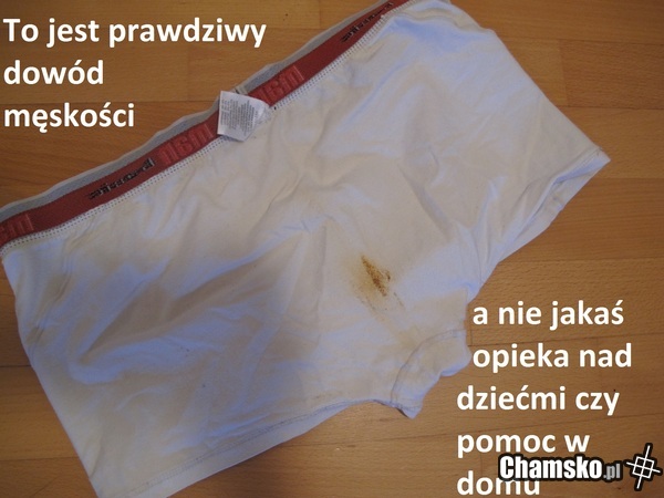 Dowód męskości