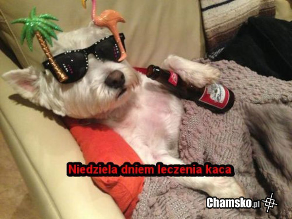Niedziela dniem leczenia!