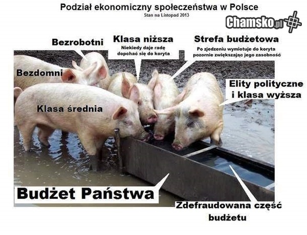 Społeczeństwo