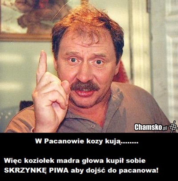 Koziołek Matołek :D