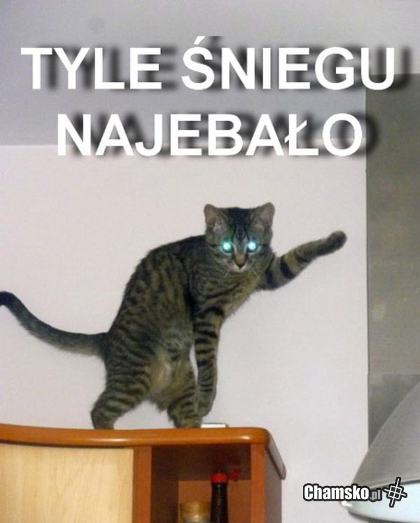 Tyle śniegu