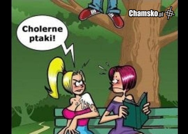 Ptaki