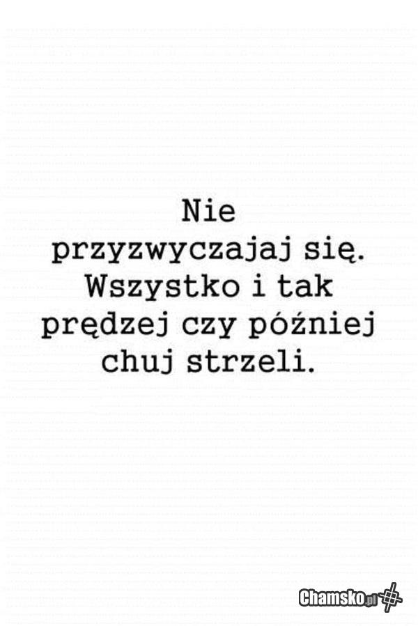 Optymista