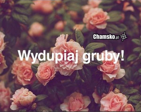 gruby..