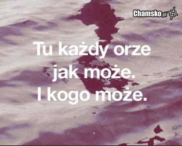 Tu każdy orze ..