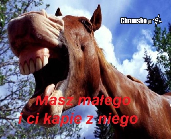 masz małego :P