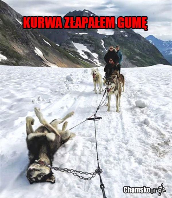 Kapeć