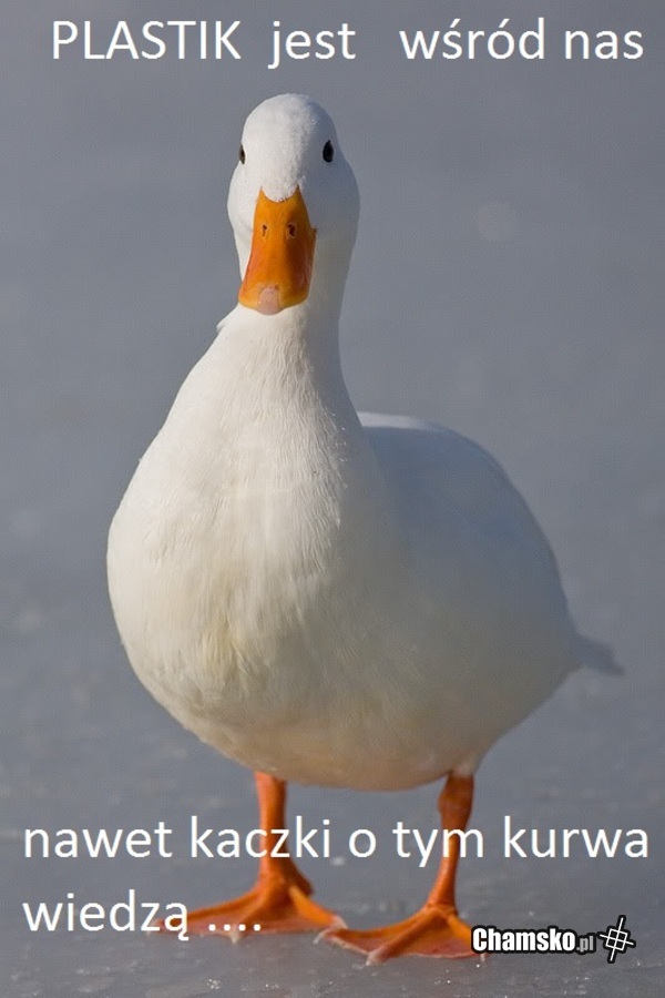 PLASTIK