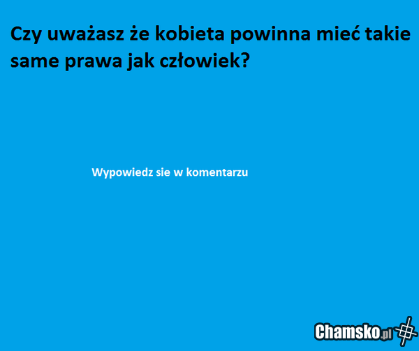Ankieta