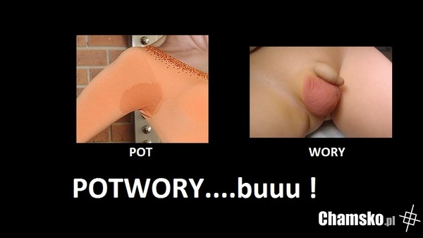 Potwory