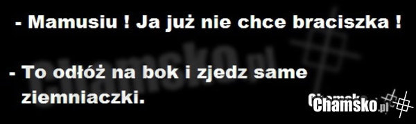 Braciszek