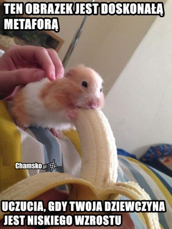To uczucie