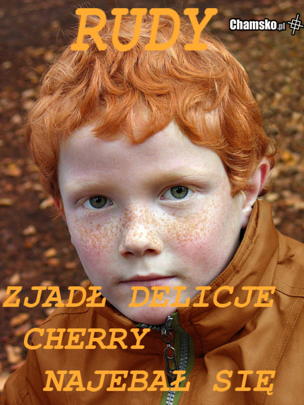 Rudy i delicje