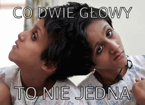 co dwie głowy...