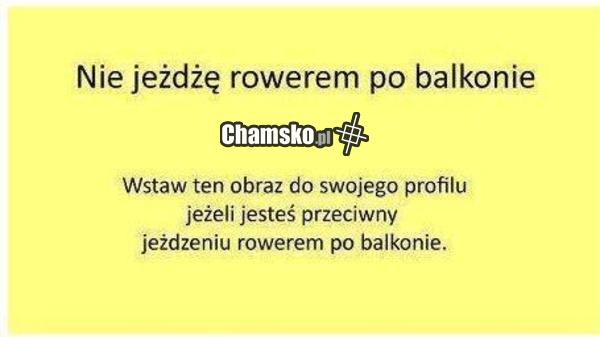 I TYLE!