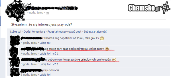 Gejowy