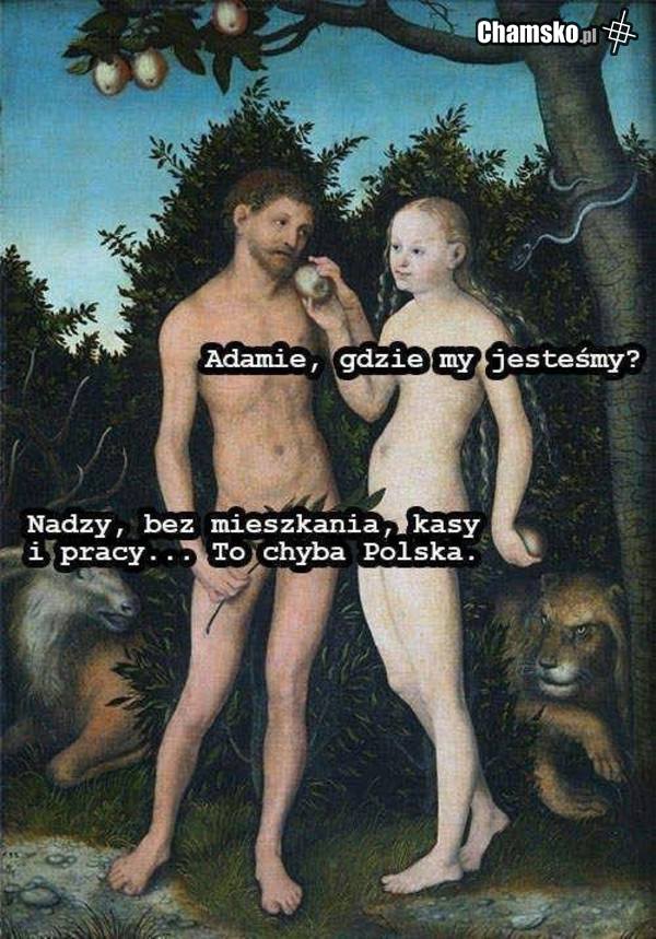 Zielona wyspa
