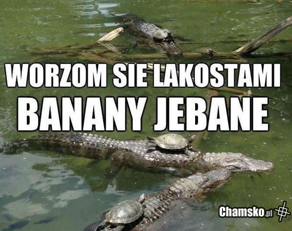 Banany