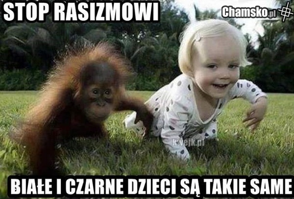 Stop rasizmowi !