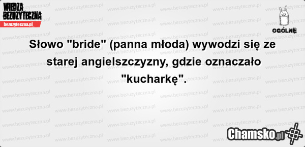 Fakty