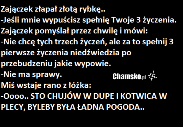 złota rybka