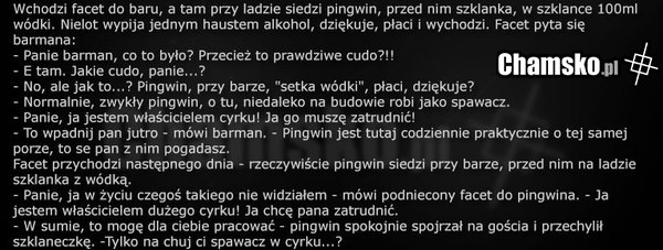 Pingwin w barze