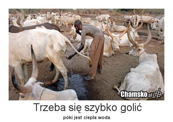 Golenie