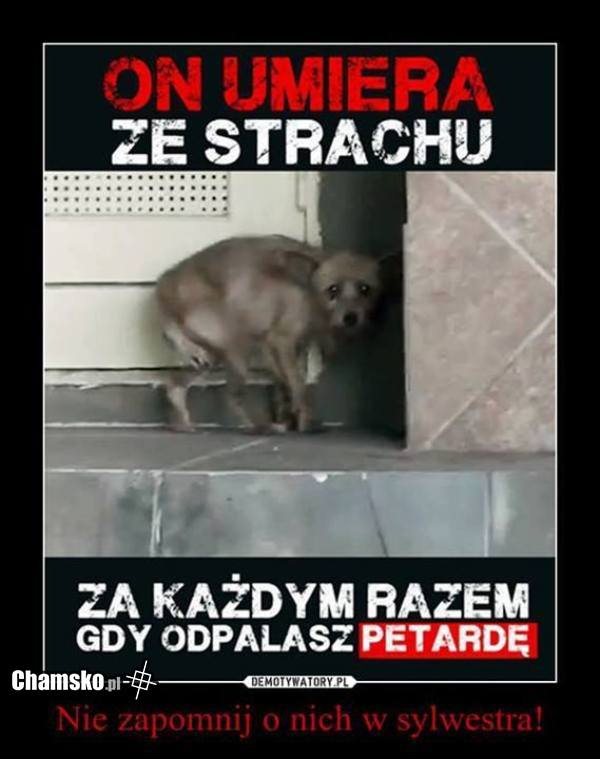 Pamiętaj !! takie chwile są wieczne :)