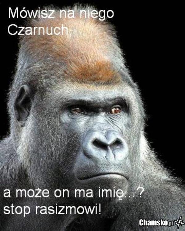 stop rasizmowi