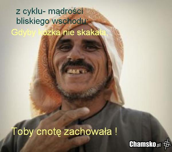 gdyby kózka
