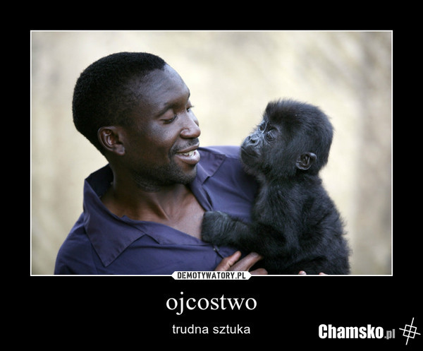 ojcostwo