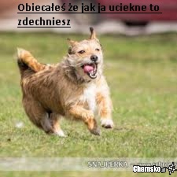 Umarłem
