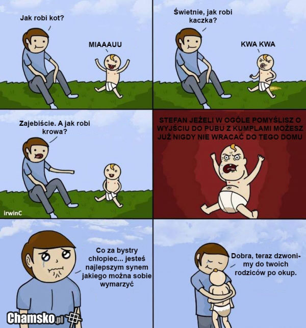 Odgłosy zwierząt