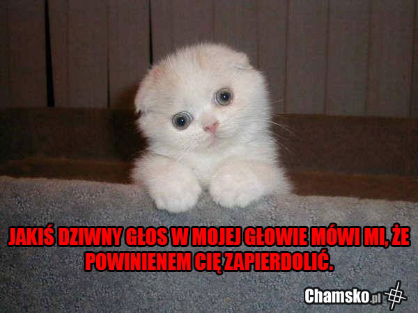 Głos w głowie