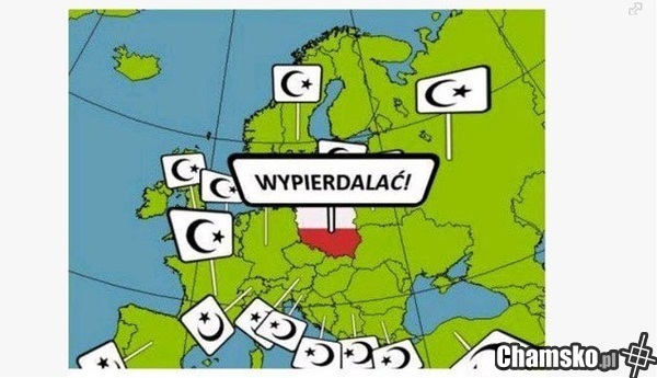 Krótko i na temat