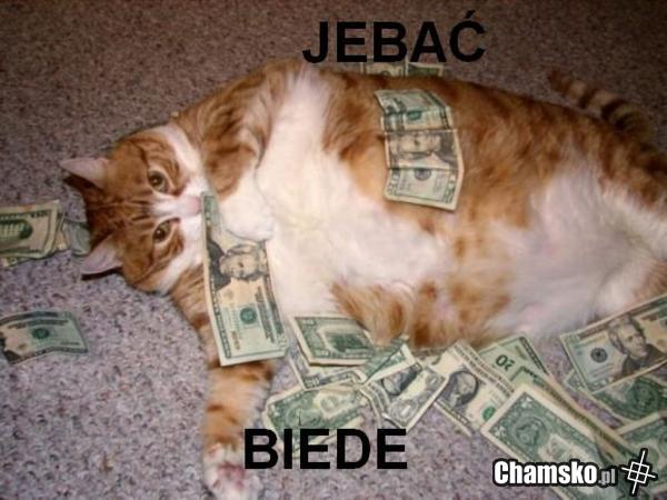 Bieda