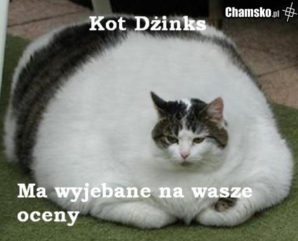 Dżinks