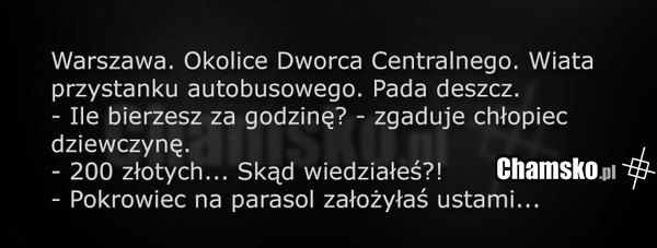 Spotkanie na przystanku