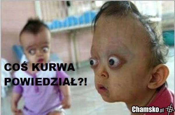 Co kurwa!?