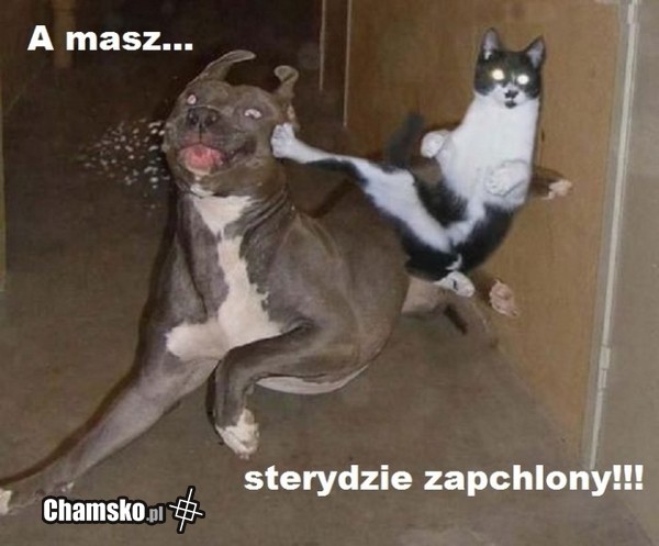 Steryd