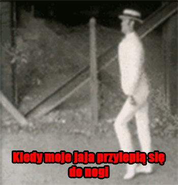 Jaja przy nodze